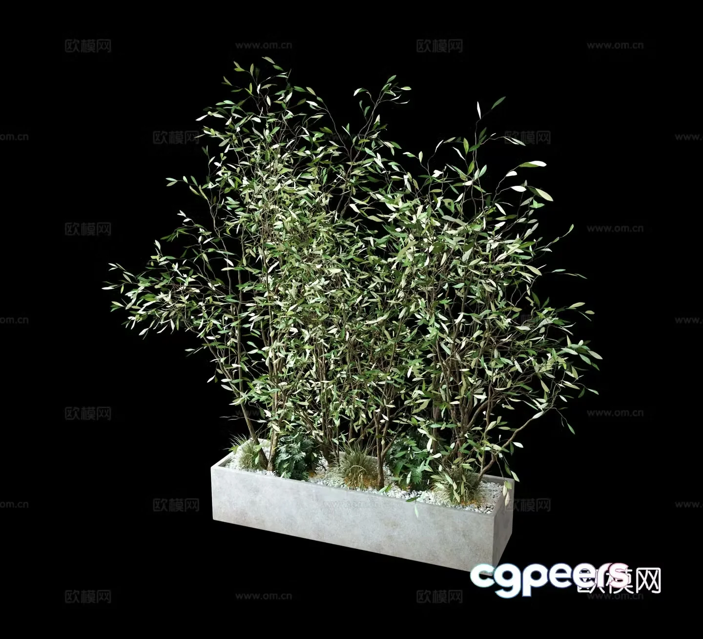 Plant green plant wall bamboo 3d model