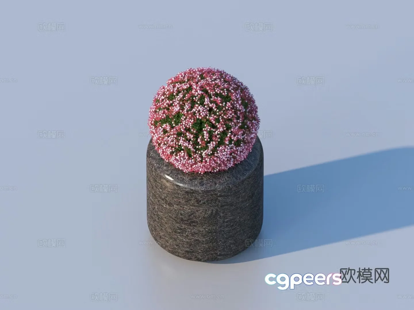 flower pot bonsai green plant plant 3d model