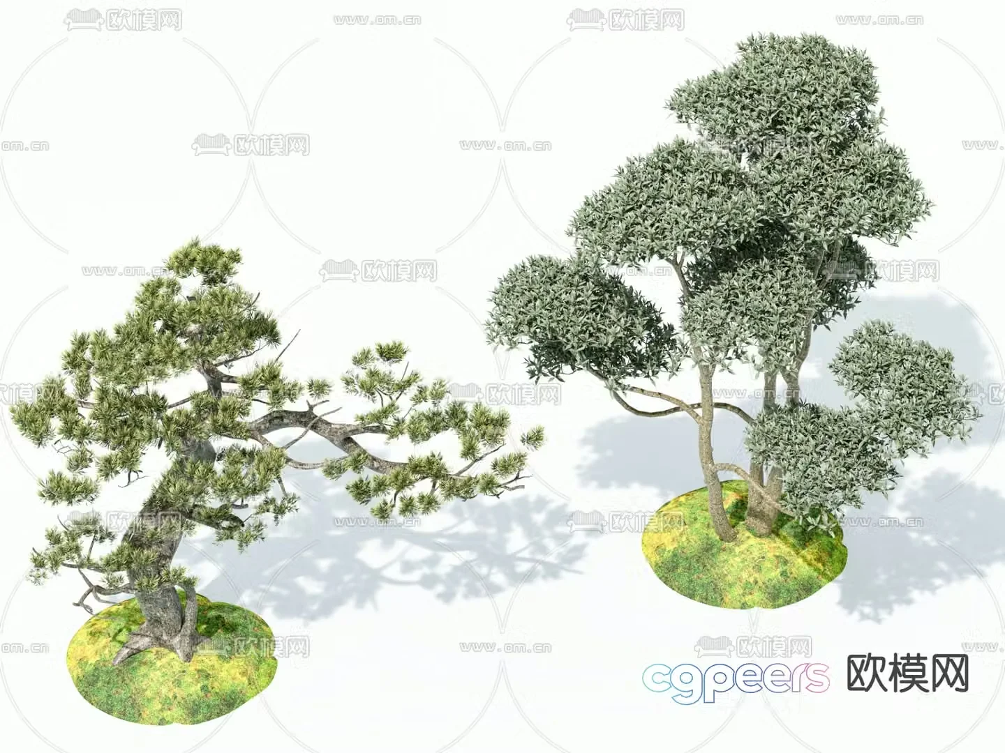 Chinese pine tree landscape tree sketch 3d model