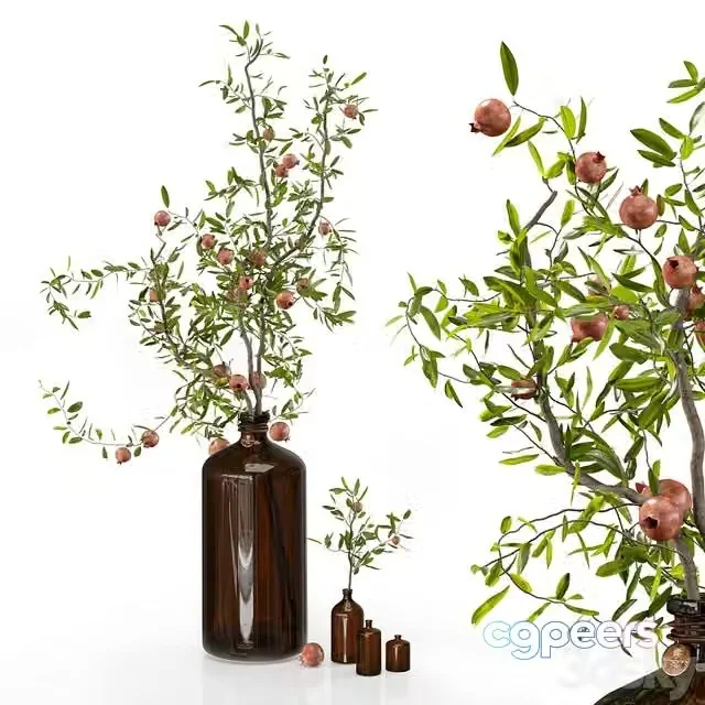 3ds Max Free – Pomegranate branches in pharmacy bottles