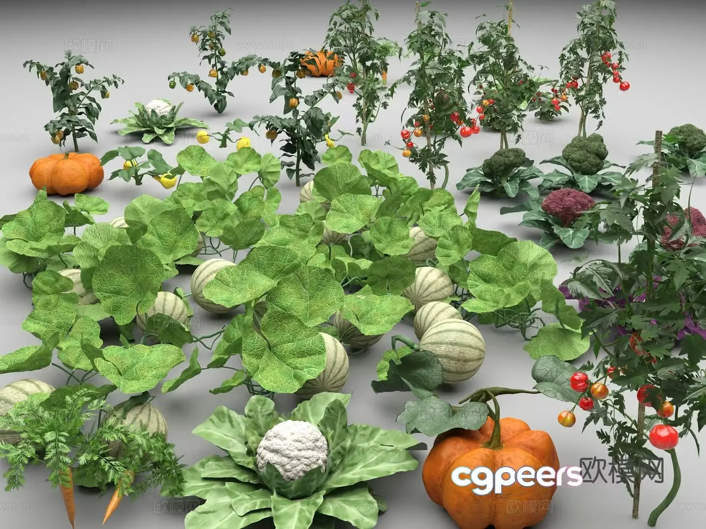 Vegetables Pumpkin Tomato Cabbage Carrot Carrots Watermelon Melon Broccoli 3D Model