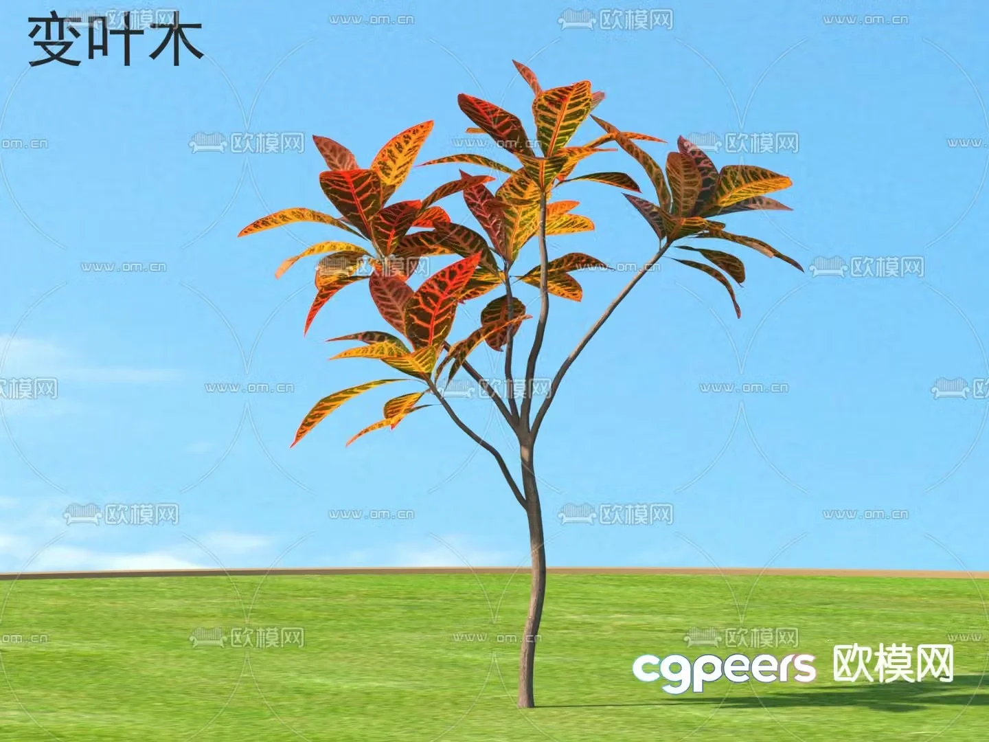 3D model of leaves and trees