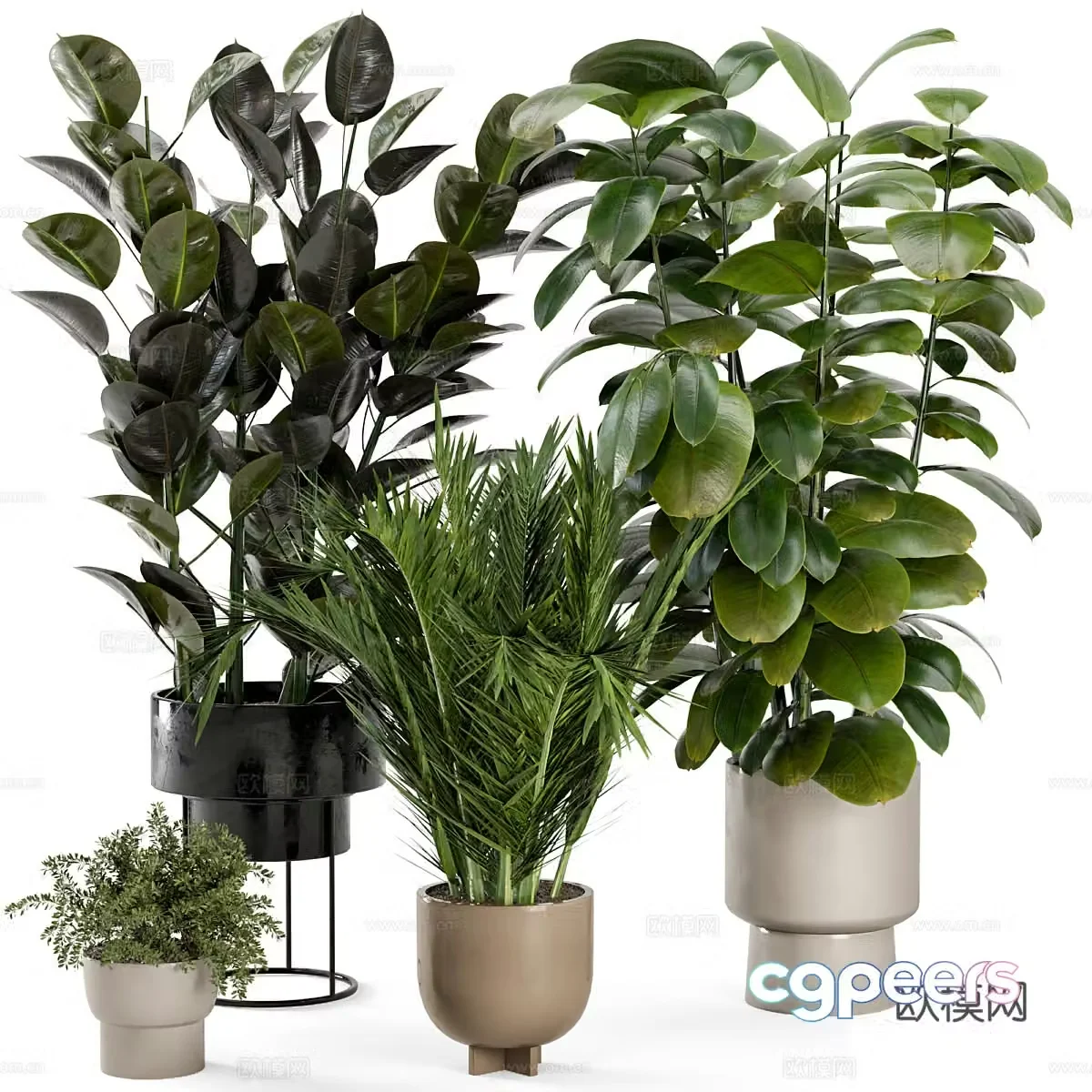 Green plant potted 3D model