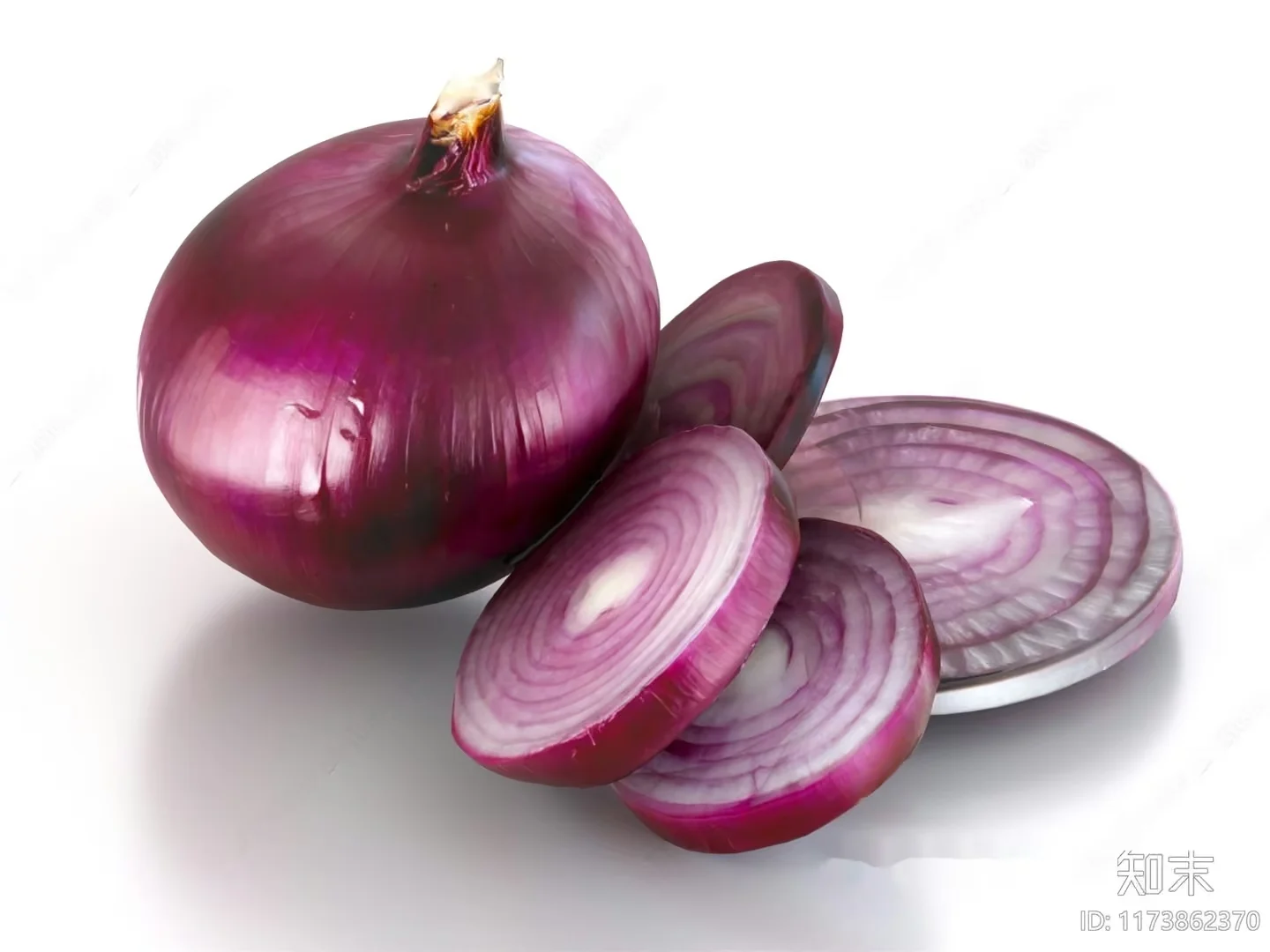 A Red Onion 3D Model – 12749 – VRAY Render