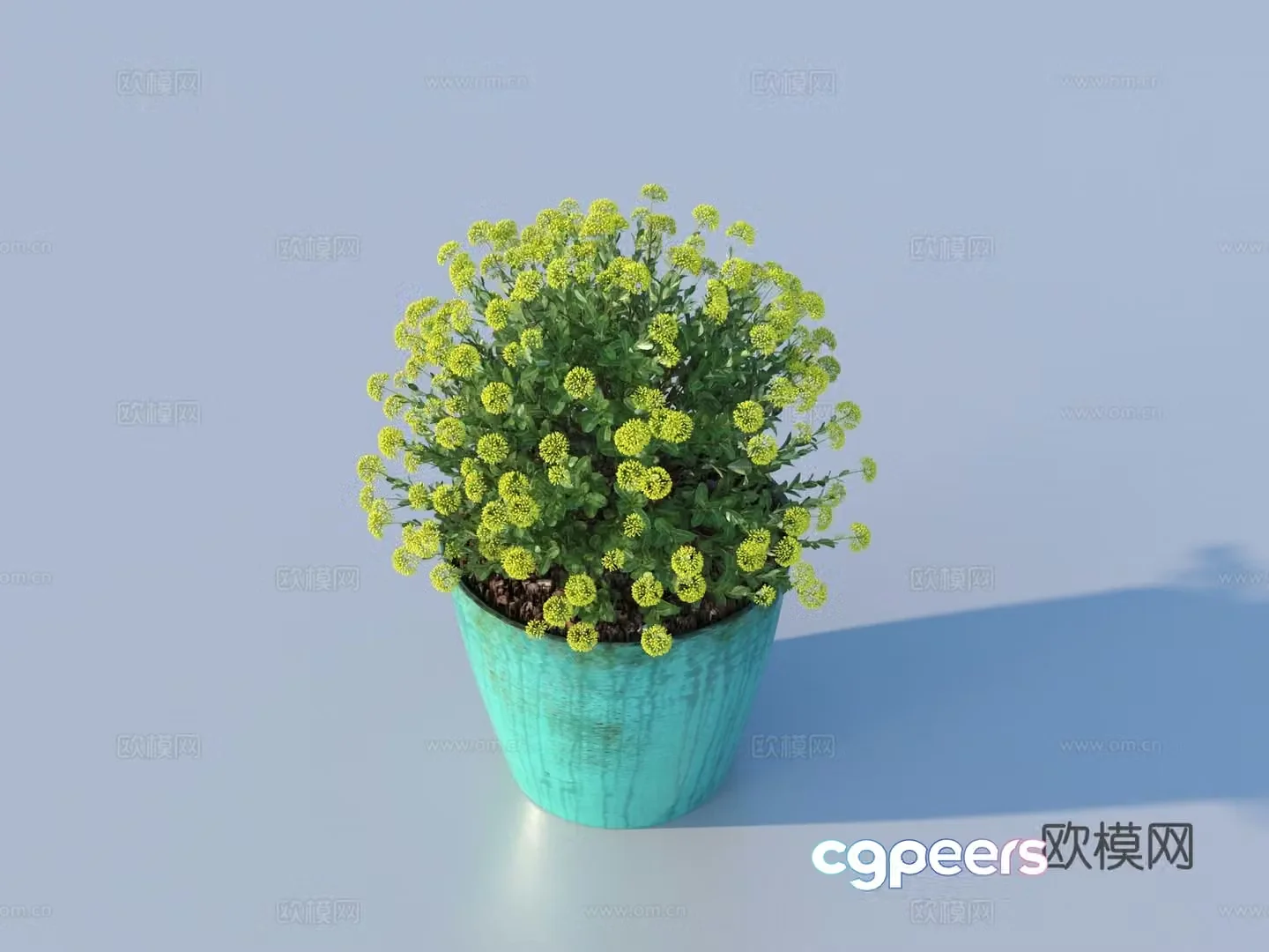 bonsai flowerpot green plant plant 3d model