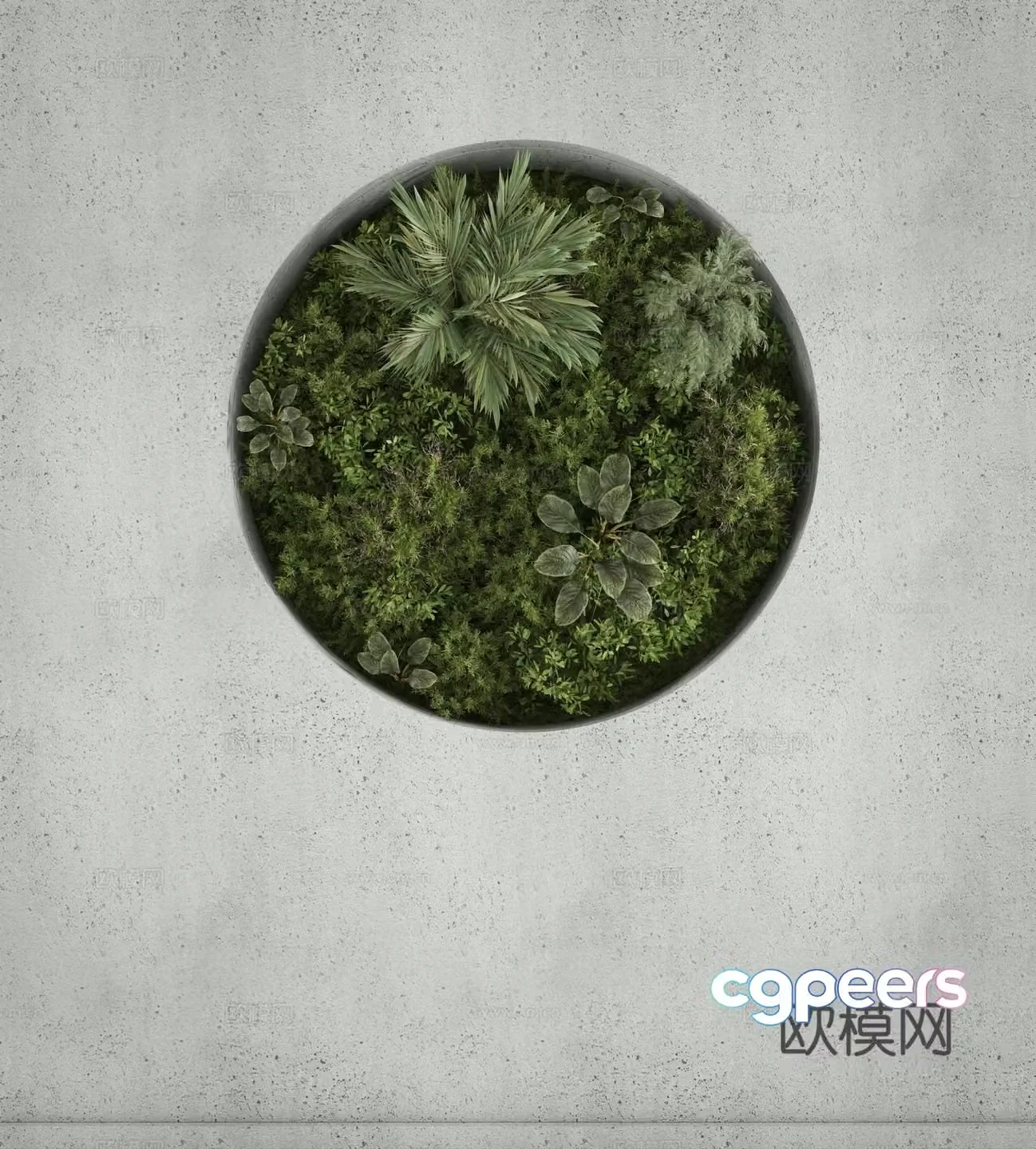 Plants Green Plant Wall Bamboo Landscape Tree 3D Model
