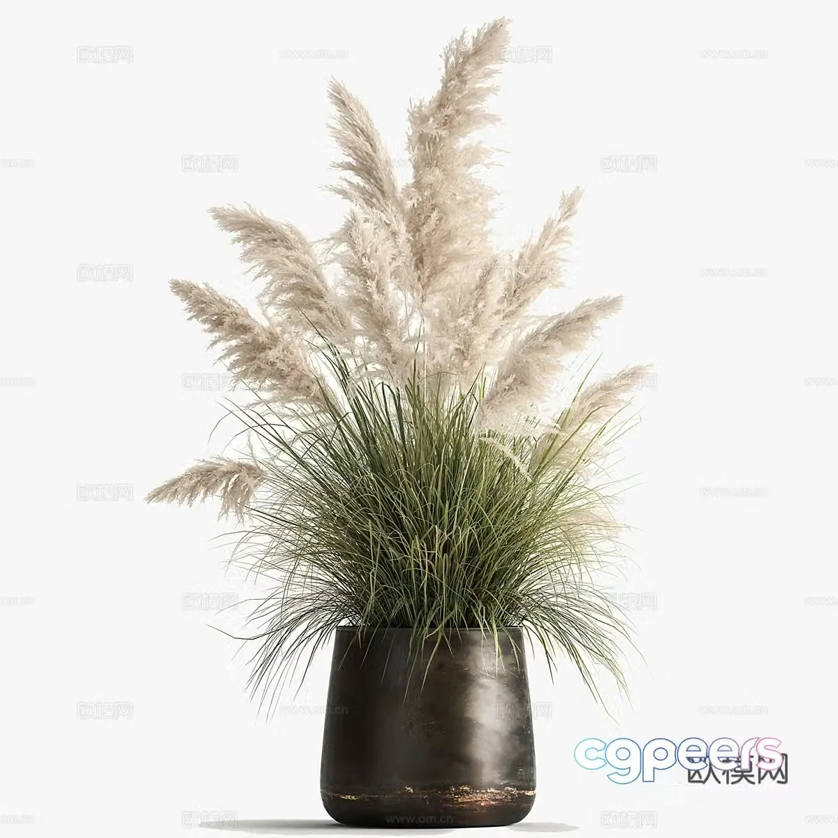 Potted 3D model