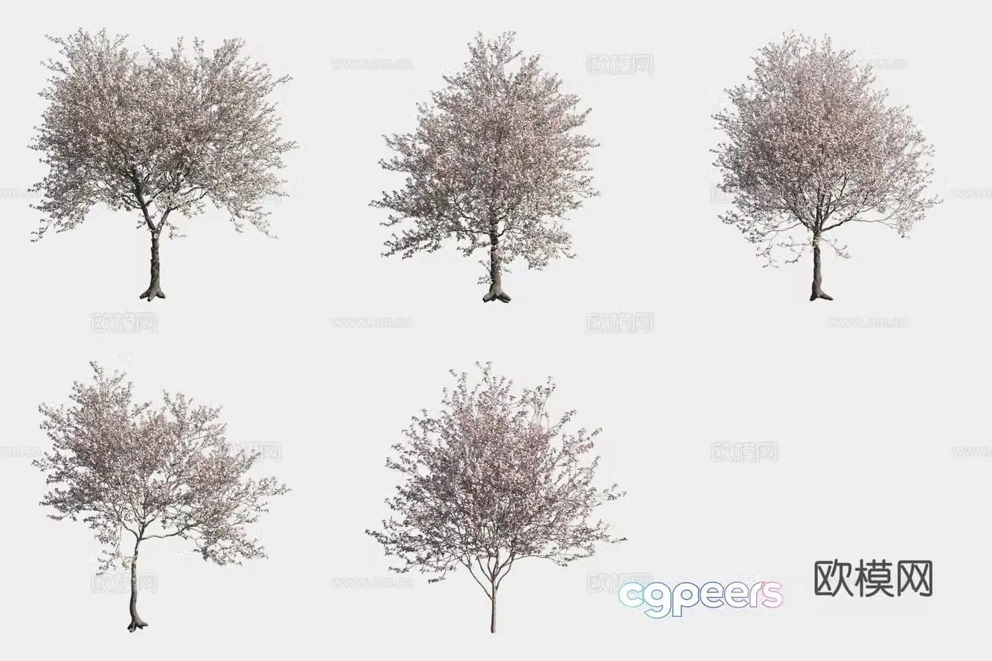 Almond tree flower tree 3d model