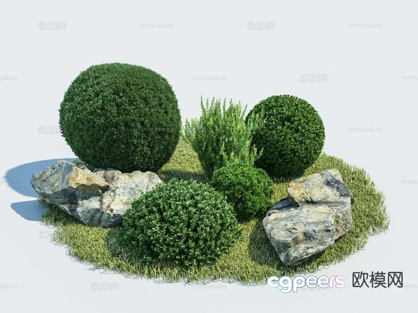3D model of garden green plant sketch