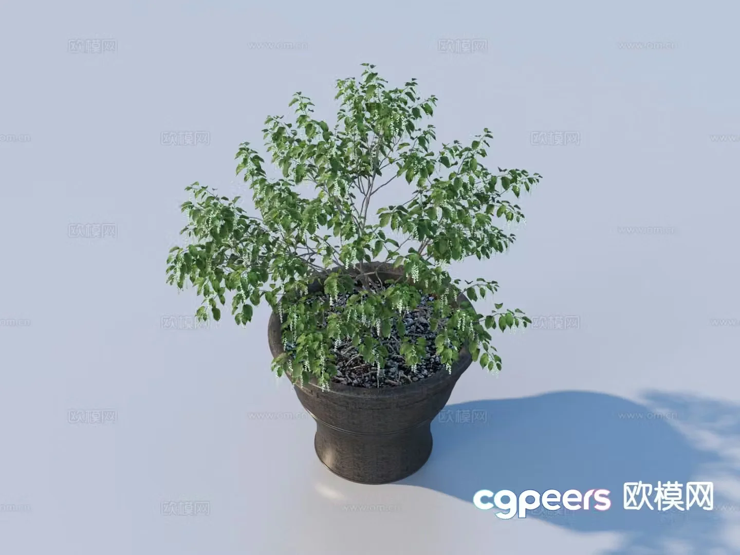 flowerpot potted plant green plant plant 3d model
