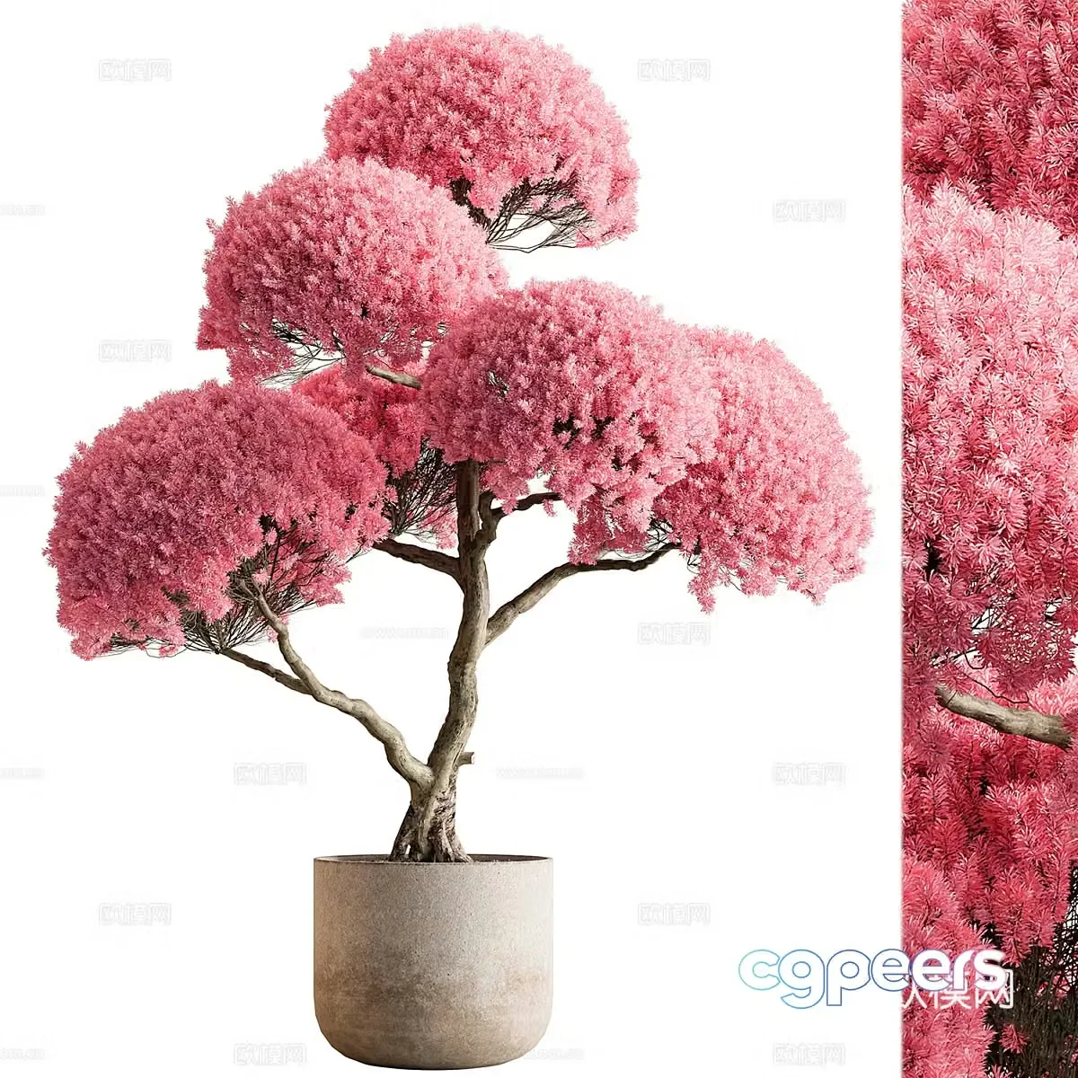New Chinese potted 3D model