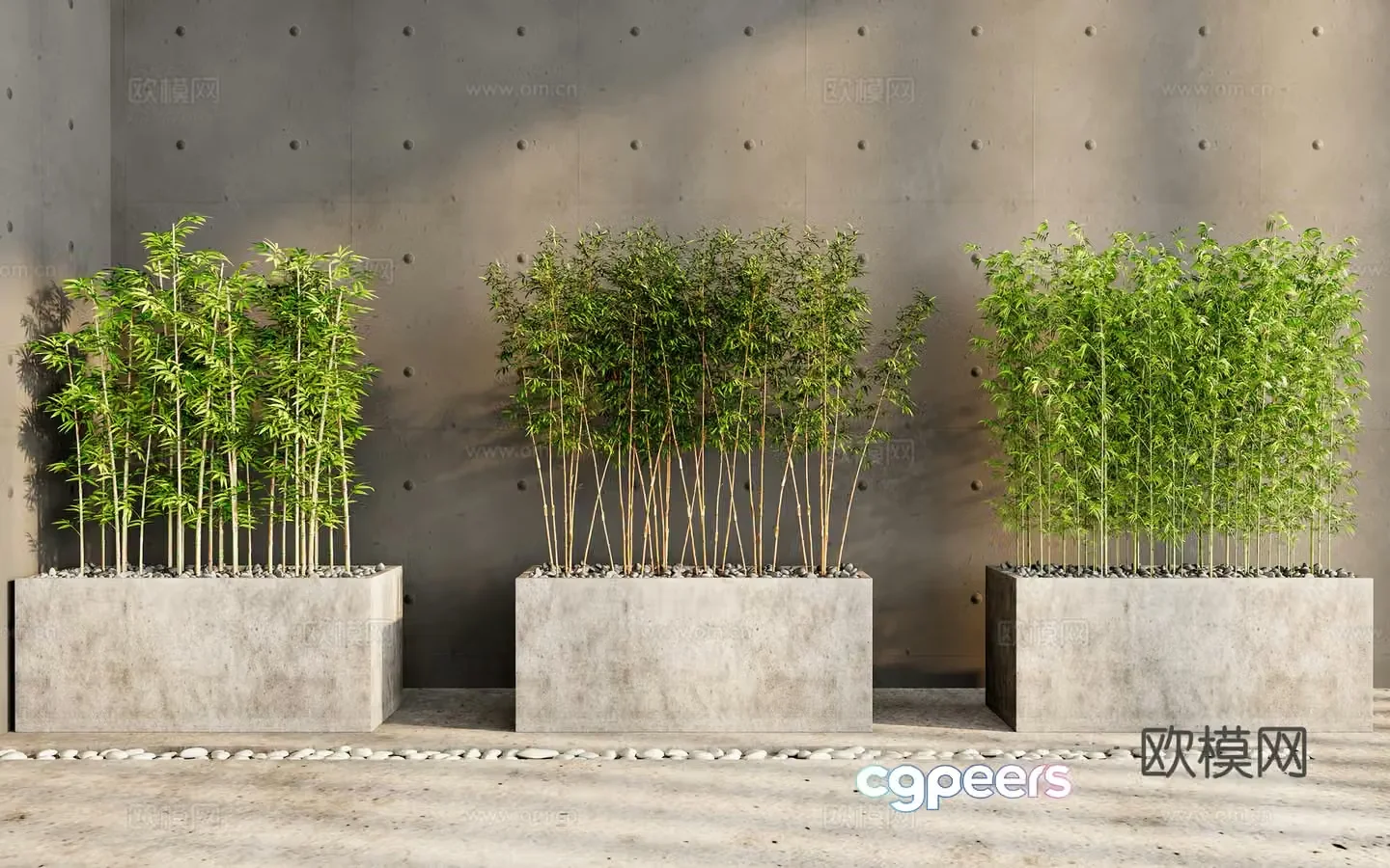 bamboo bamboo forest landscape bamboo garden bamboo 3d model