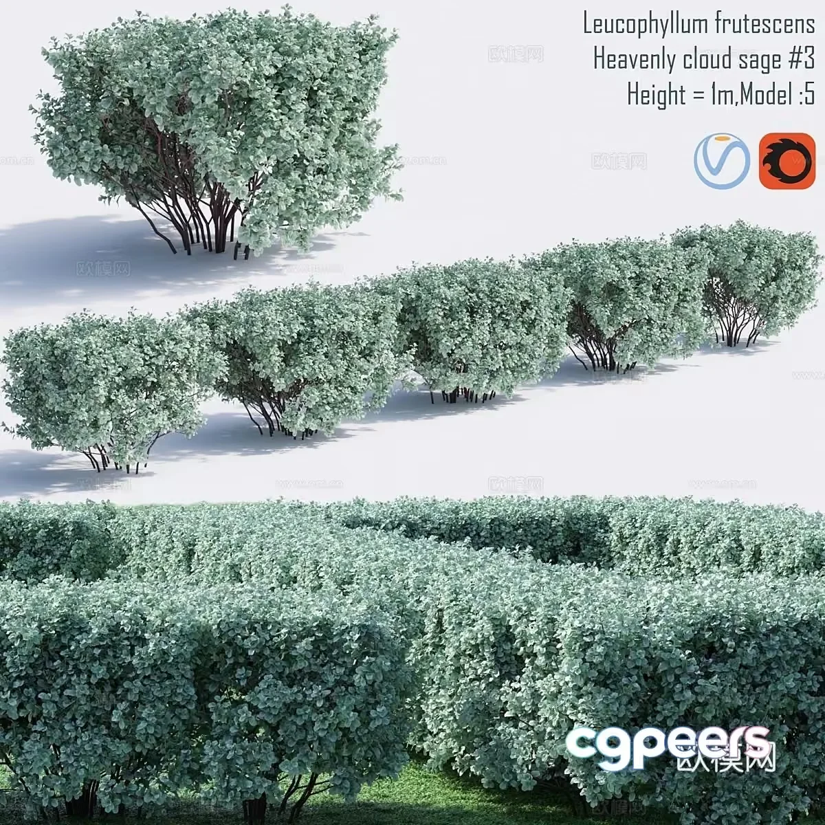 A 3D Rendering Of A Lush Green Bush With Leaves 3D Model – 22142 – VRAY Render