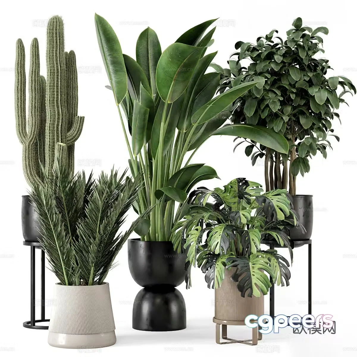 Vase flowers 3d model