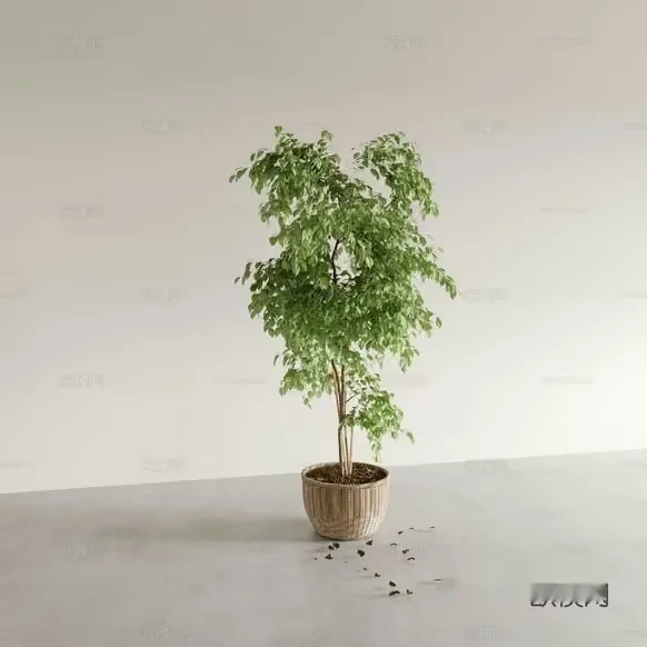 A Small Green Tree In A Pot 3D Model – 8719 – CORONA Render