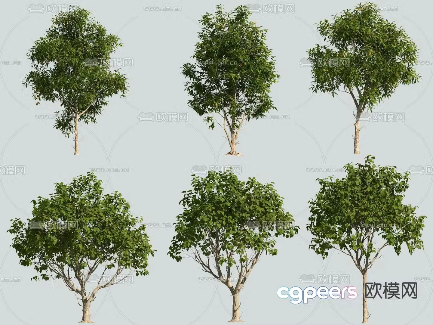 tree landscape tree street tree 3d model