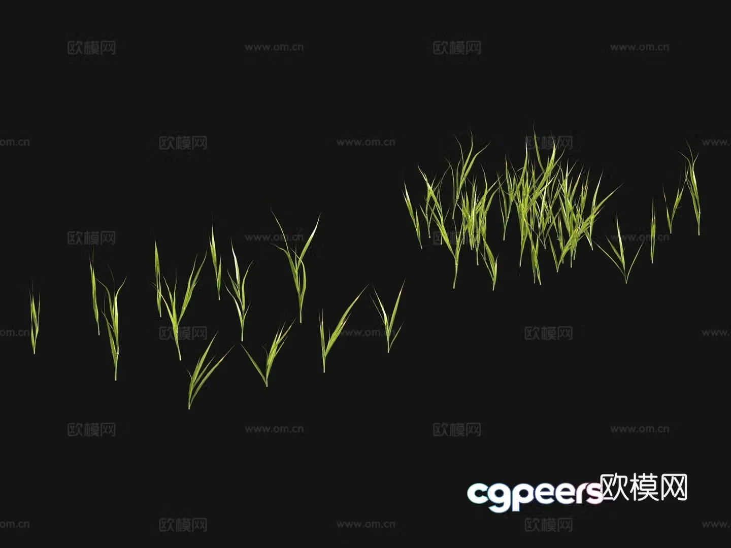 Grass seeds lawn 3d model