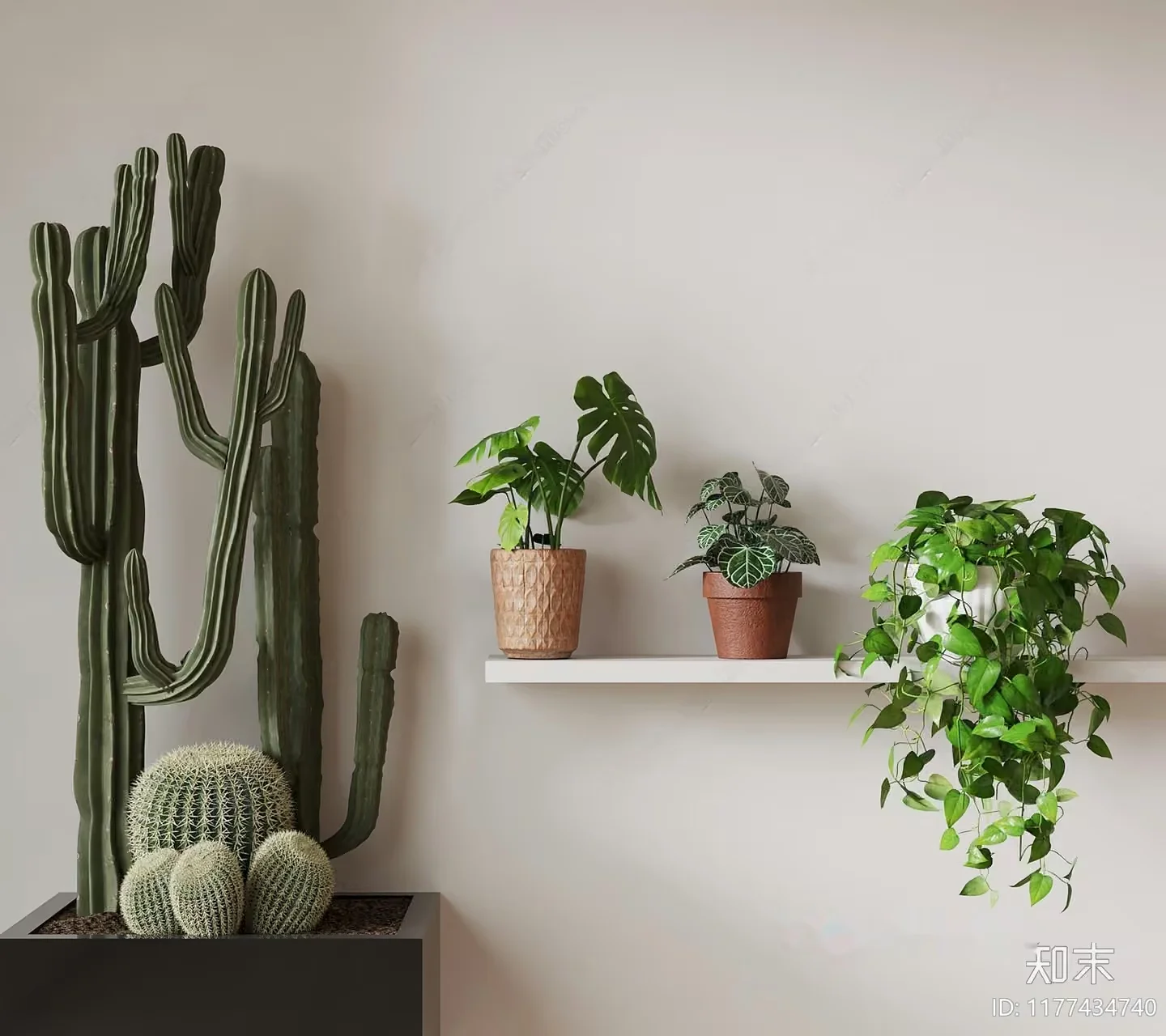 Green Houseplants 3D Model – 5118 – VRAY Render