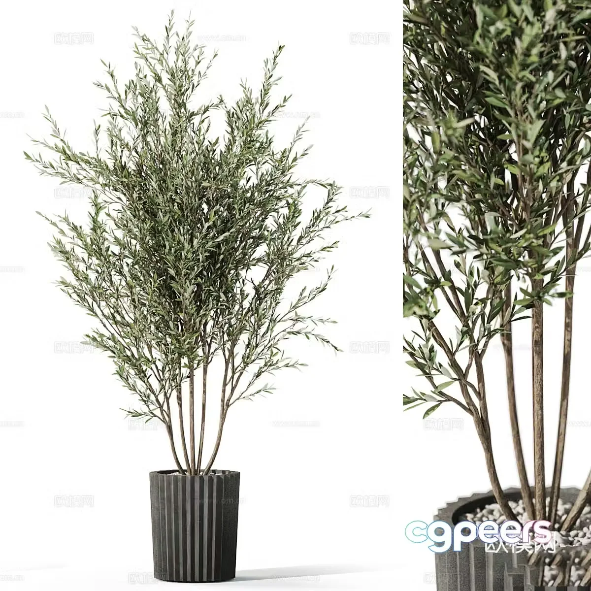 New Chinese green plant potted 3D model