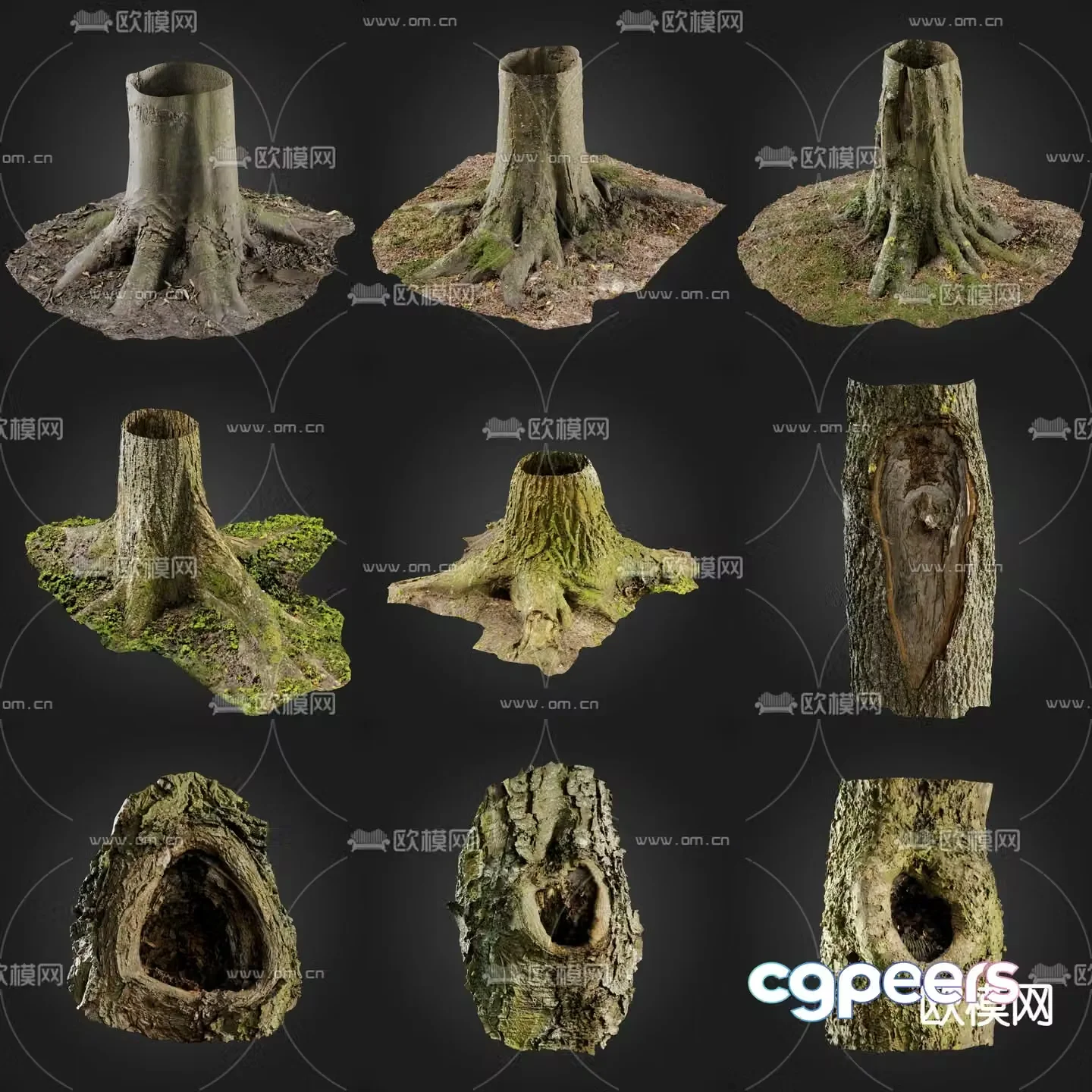 Tree trunk tree stump tree hole bark 3d model