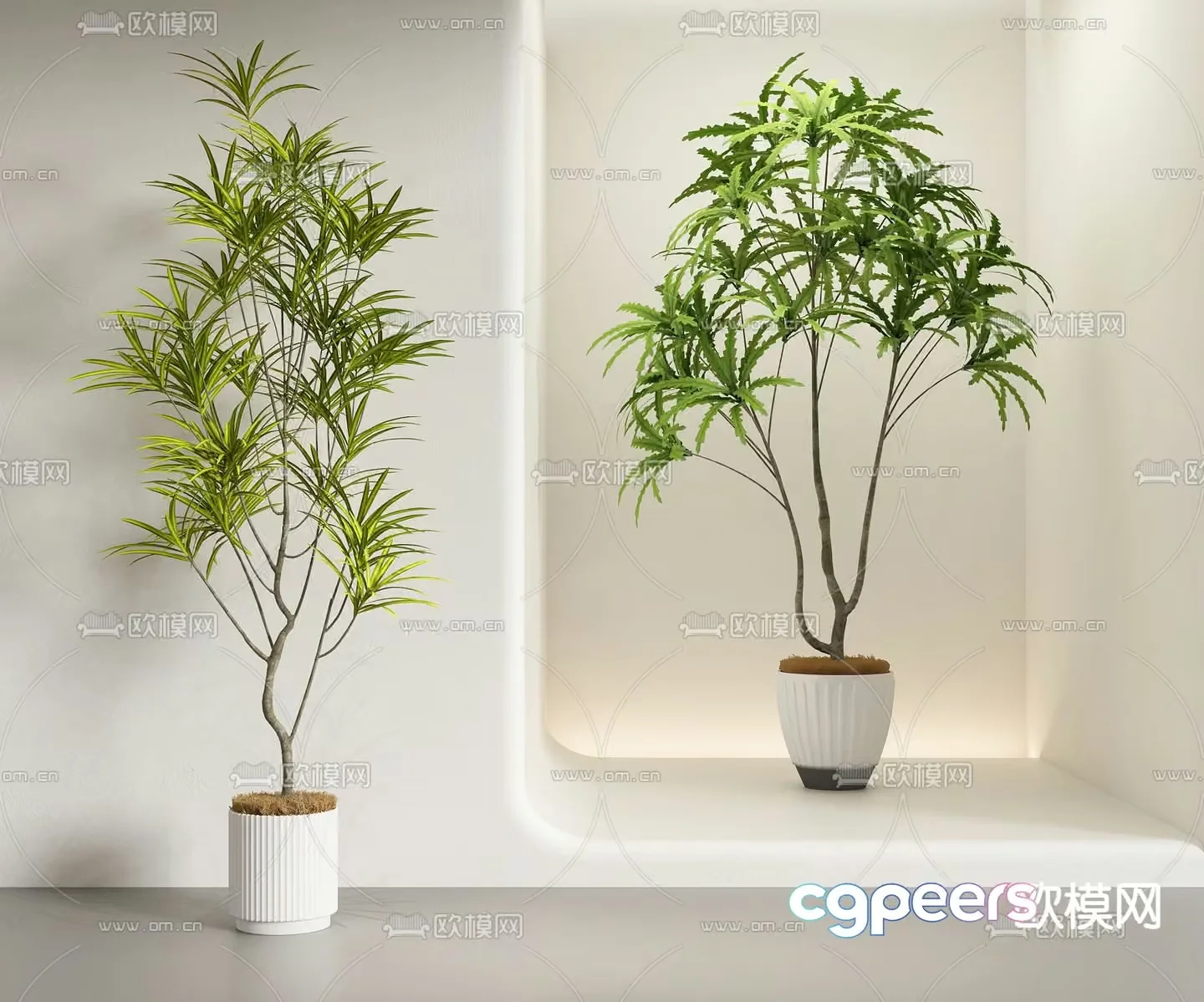 Two Potted Plants 3D Model – 426 – VRAY Render