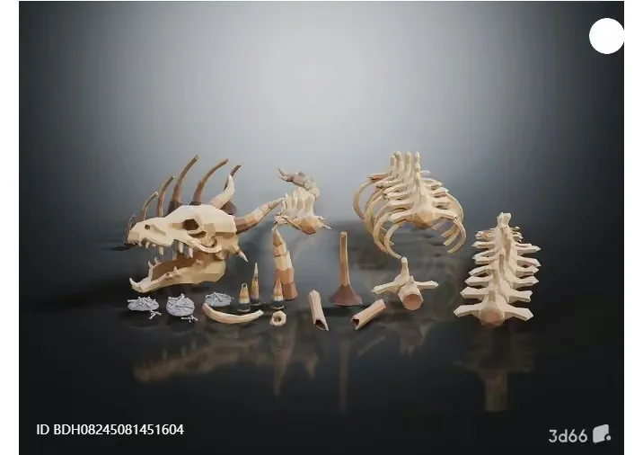 3D Model Of A Dinosaur Skeleton 3D Model – 5422 – VRAY Render