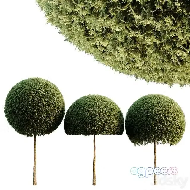 3ds Max Free – Spherical tree03