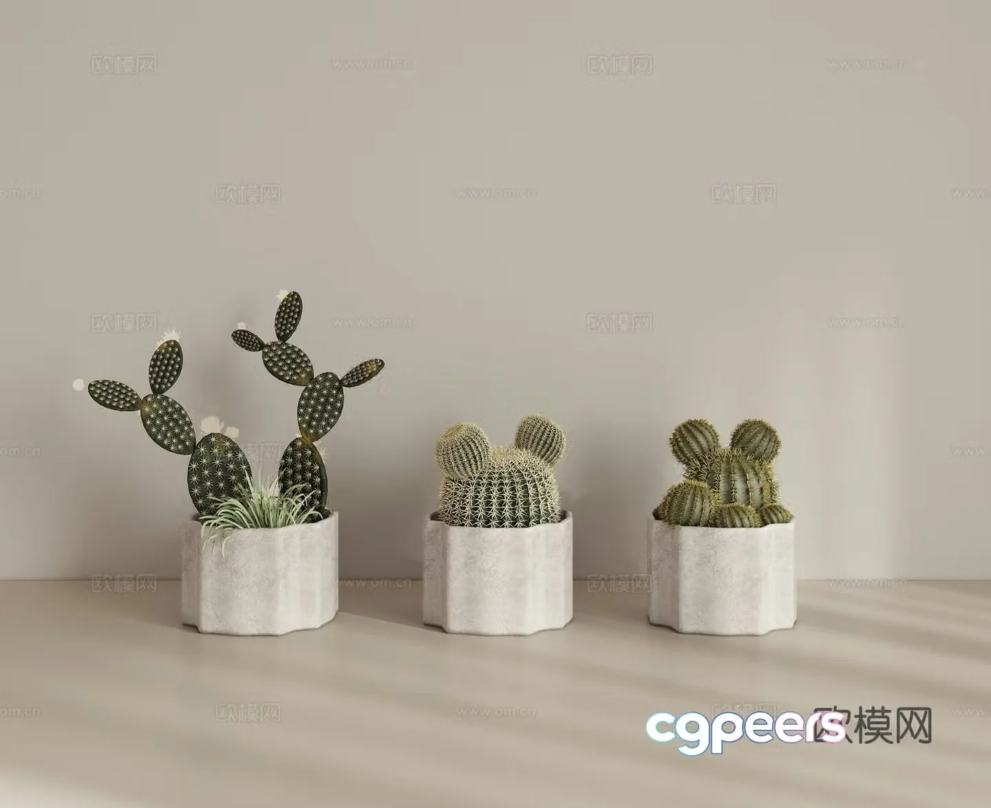 Green plant potted succulent potted 3D model