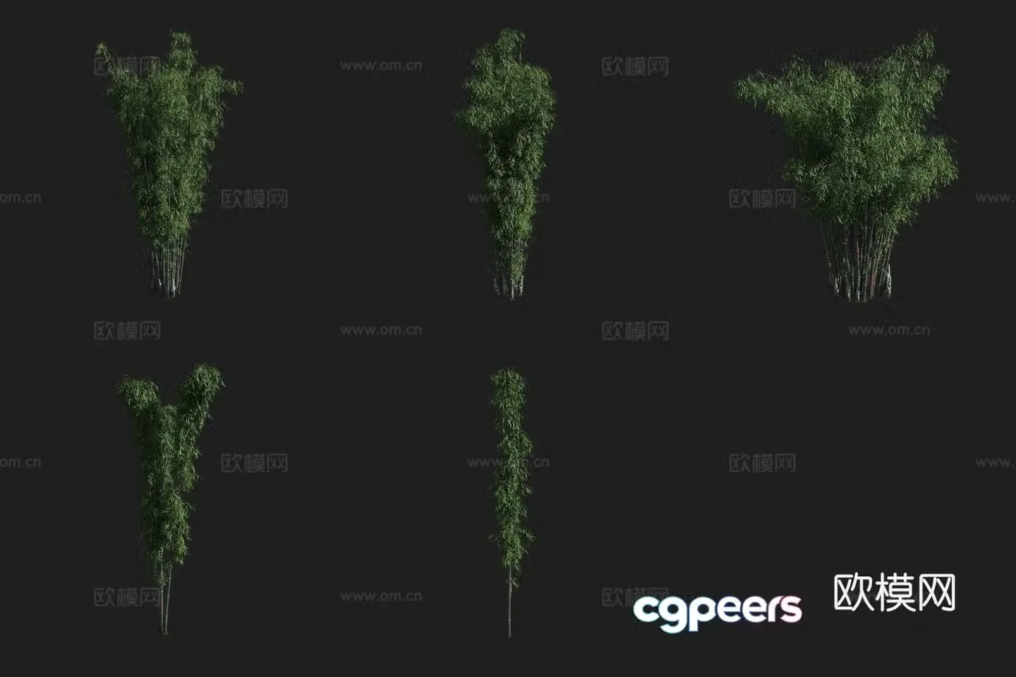 Mazhu Bamboo Bamboo Forest 3D Model