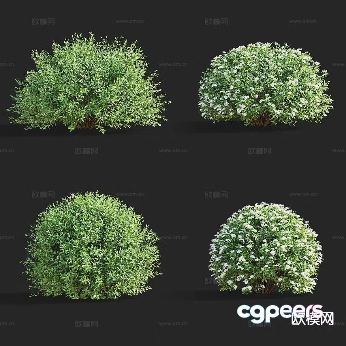 Shrub balls shape bush spindue 3d model