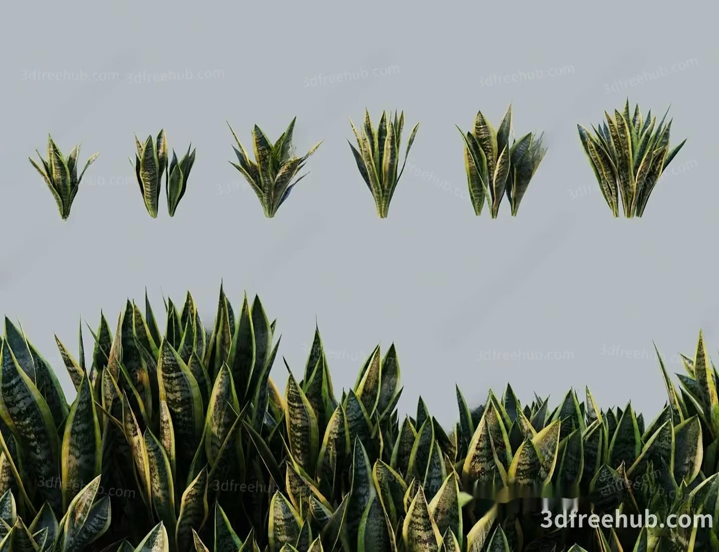 A Plant With Long Pointed Leaves 3D Model – 18526 – VRAY Render