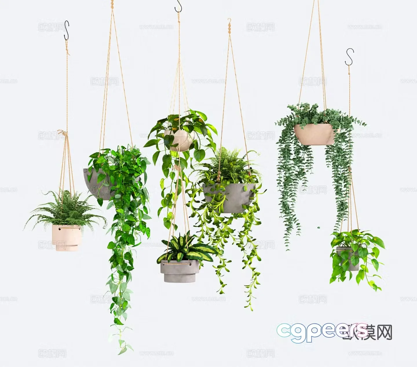 Modern hanging basket green ivy hanging plant potted plant fern green plant 3d model