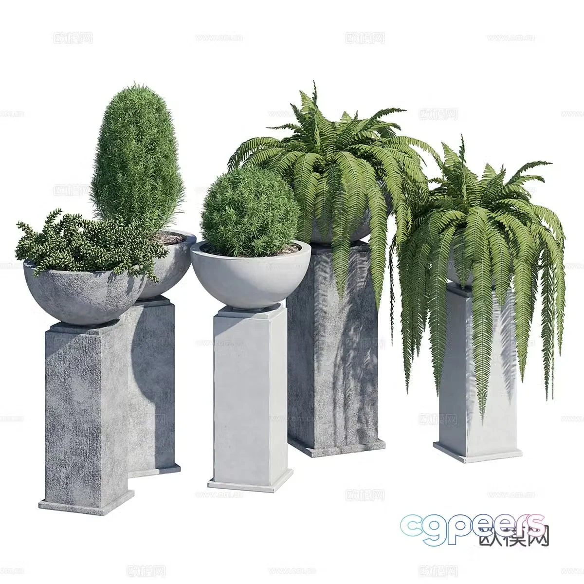 3D model of bonsai pot plant