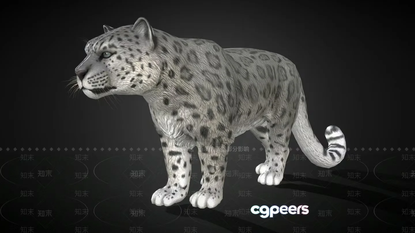 A Snow Leopard 3D Model – 4375 – VRAY Render