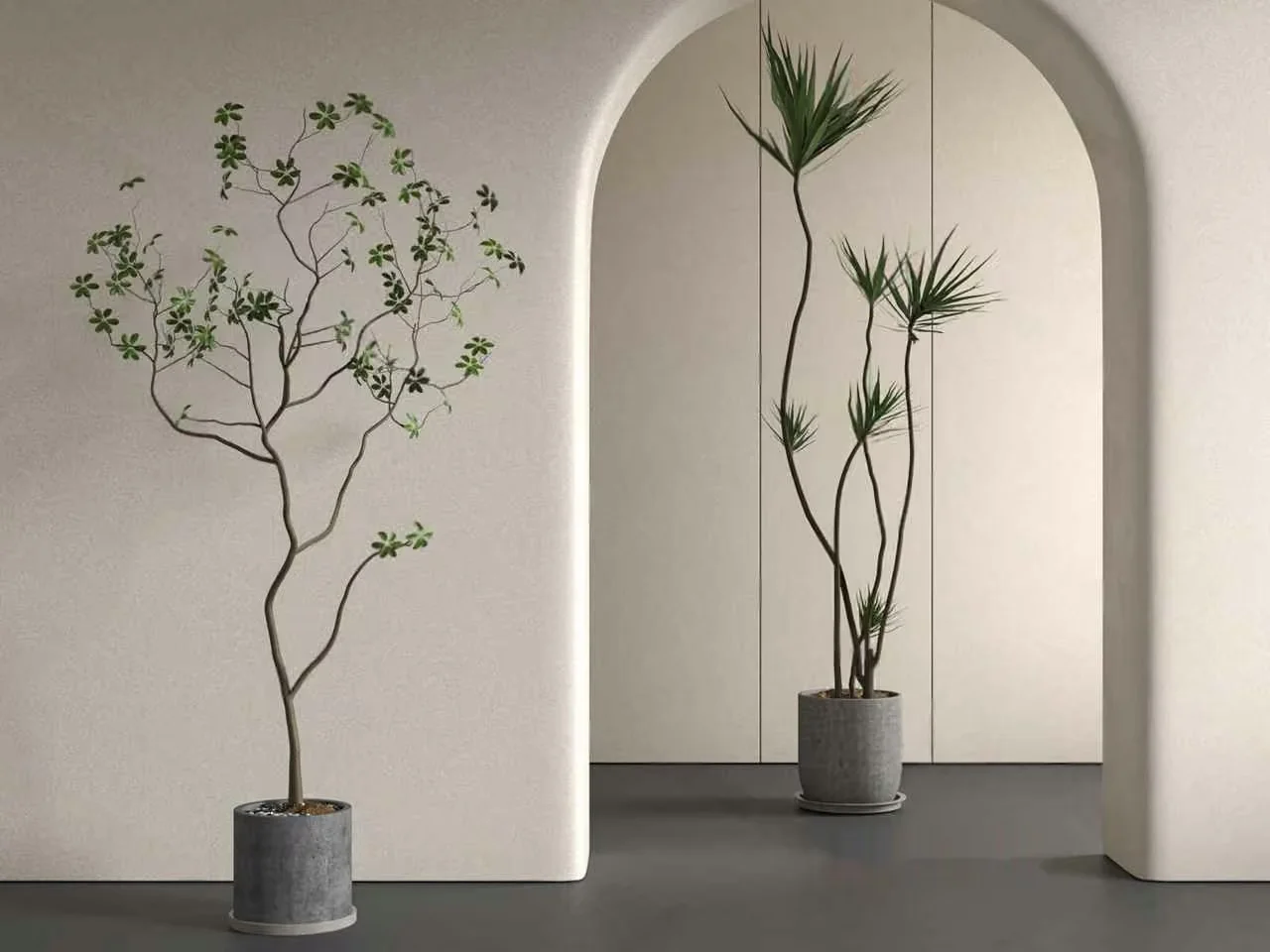 Tall Indoor Plants 3D Model – 14383 – VRAY Render