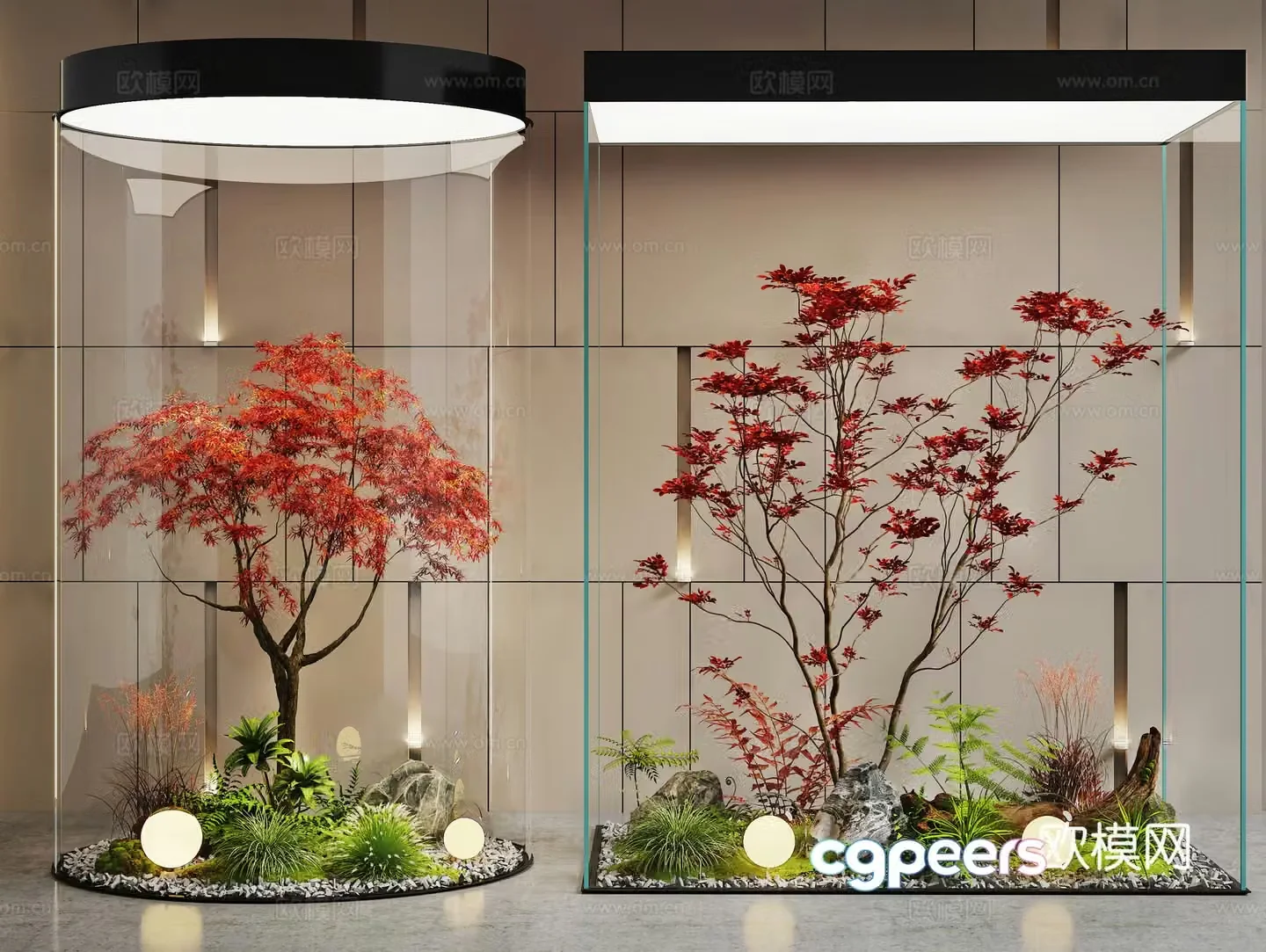 Modern interior landscape Landscape Landscape Landscape Tree Red Maple Landscape Tree Plant Heap Glass Cabinet 3D Model