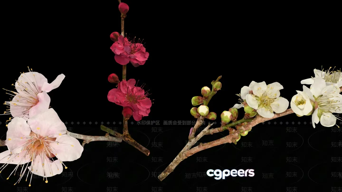 White And Pink Flowers 3D Model – 2915 – VRAY Render