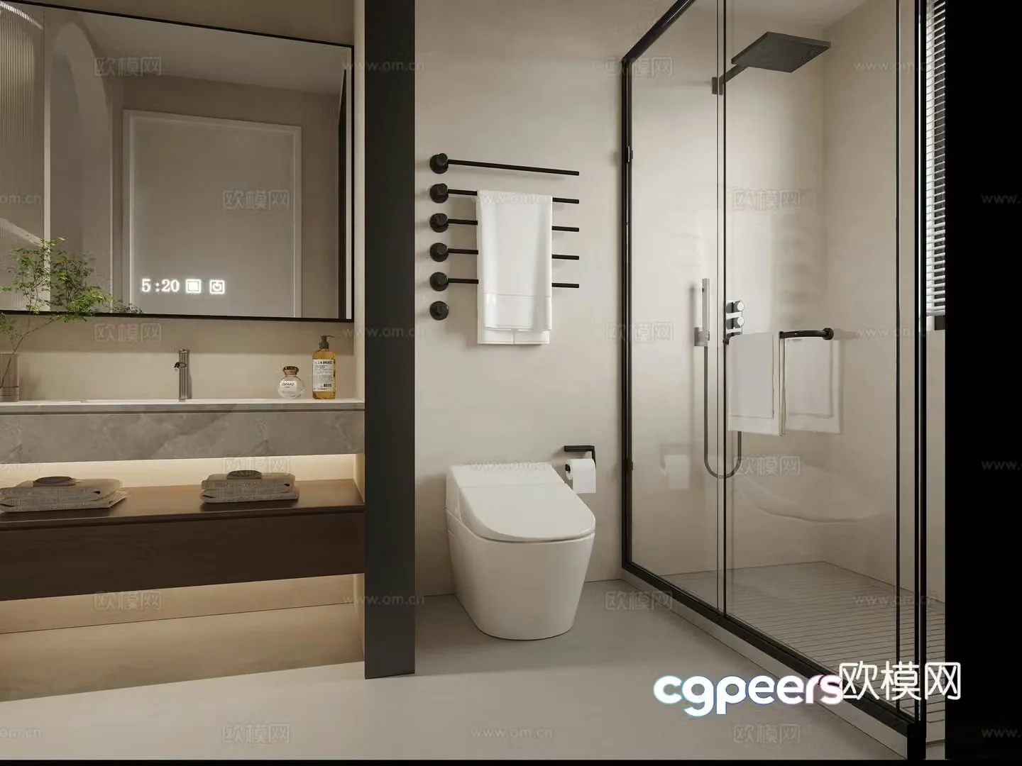 Modern bathroom wet and dry partition 3d model
