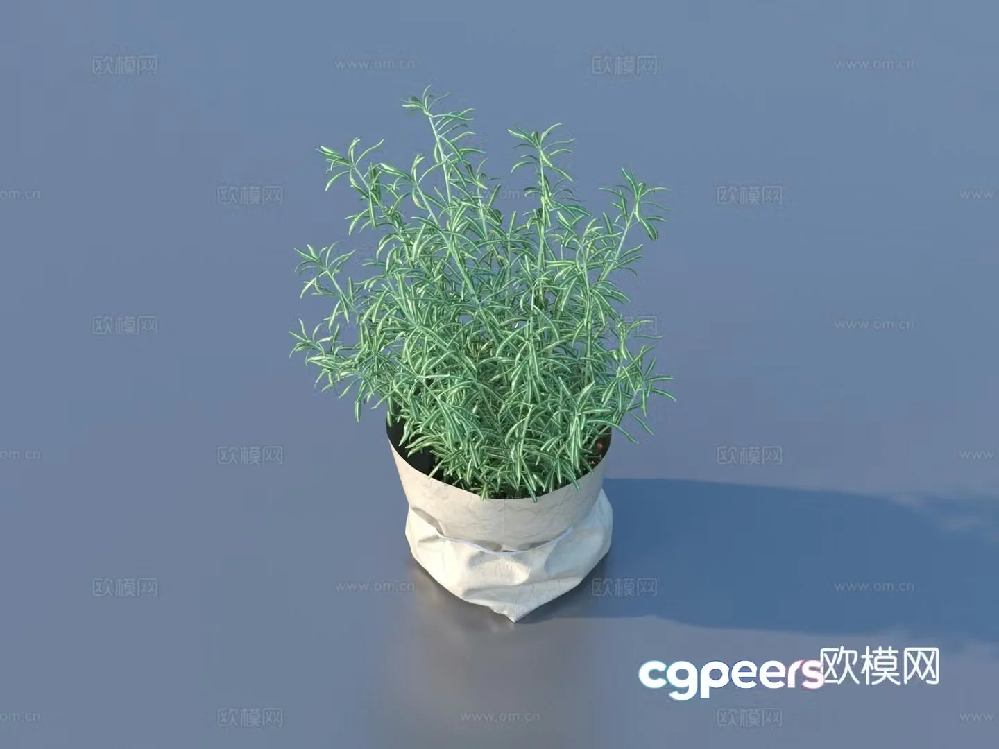 Vegetables Vegetables Leaves Food 3D Model