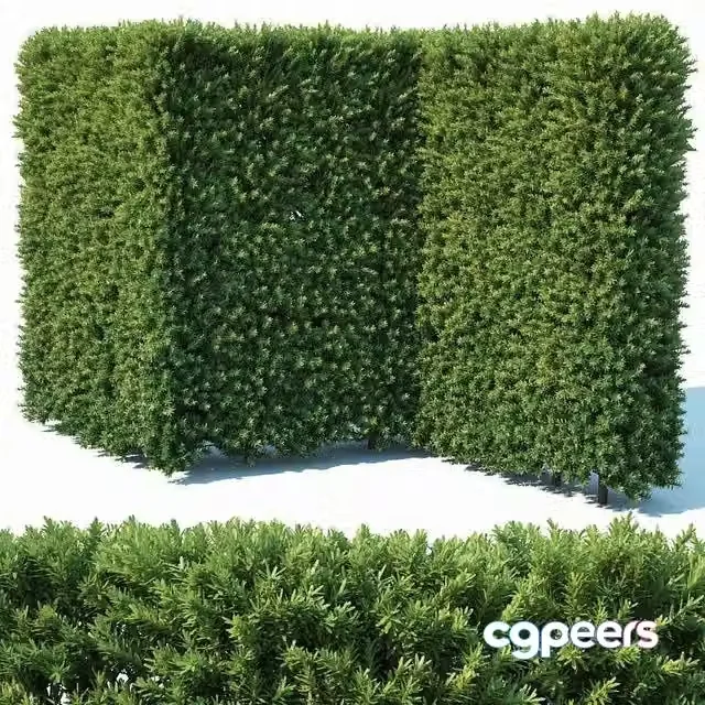 3ds Max Free – Taxus Baccata # 4 modular hedge 200 cm