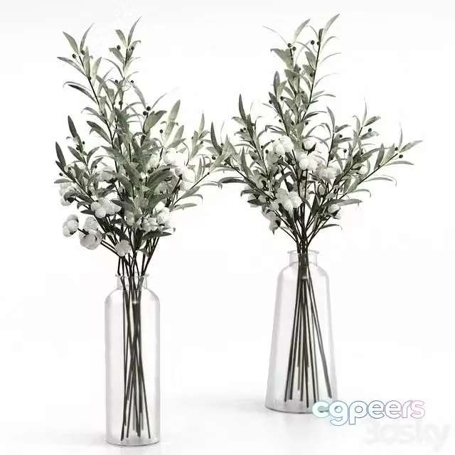 3ds Max Free – Bouquets of olives and cotton