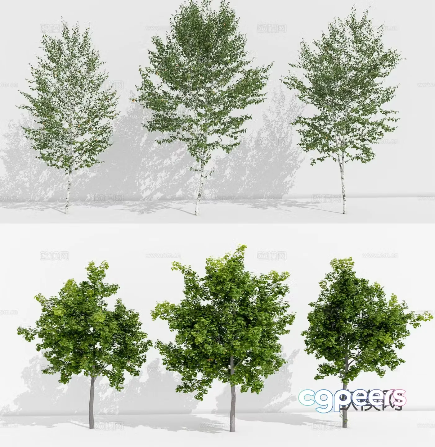 ginkgo tree arbor landscape tree 3d model