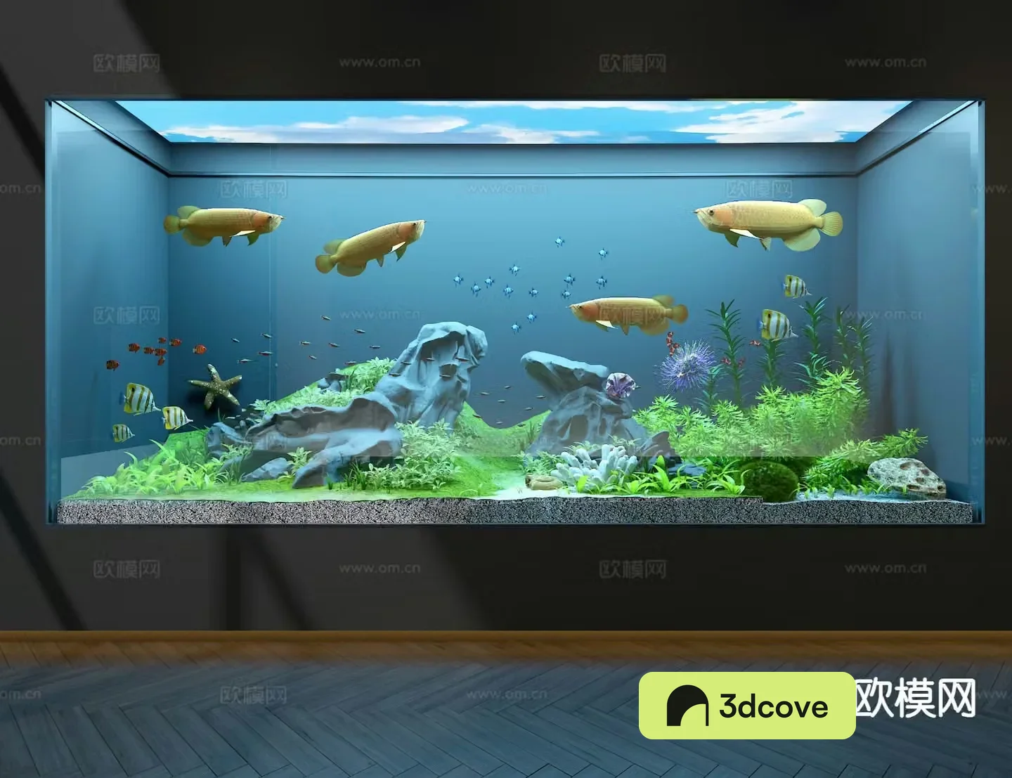 Ecological fish tank aquarium