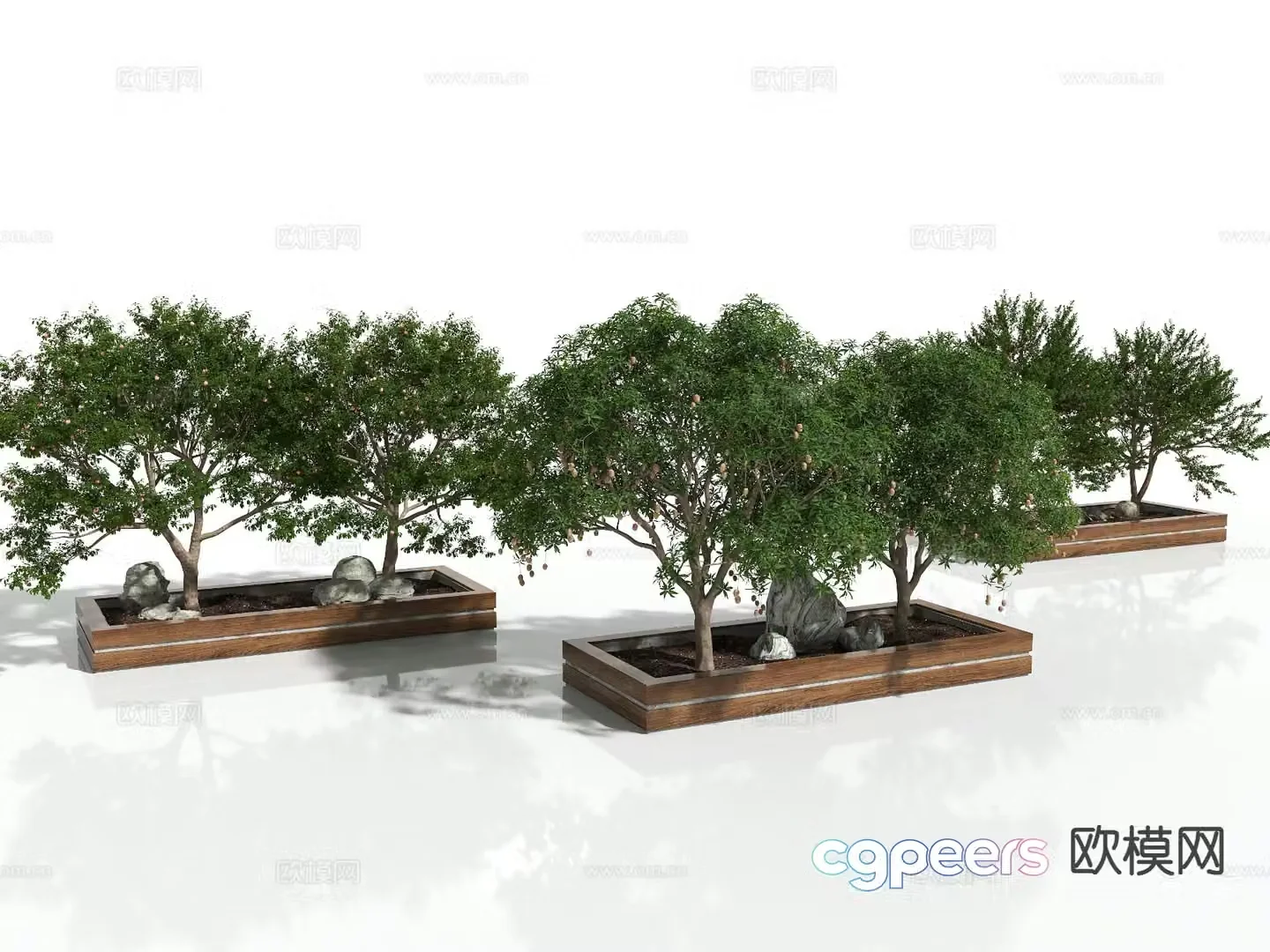 Fruit tree Big tree Fruit tree 3d model