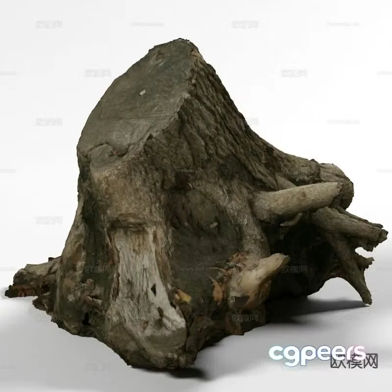 Modern solid wood tree roots 3d model