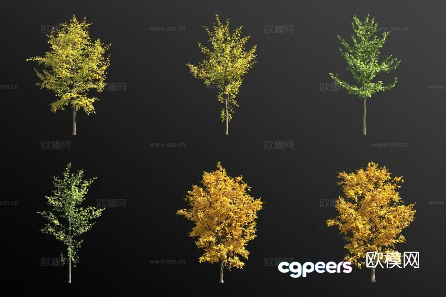 Ginkgo tree landscape tree 3d model