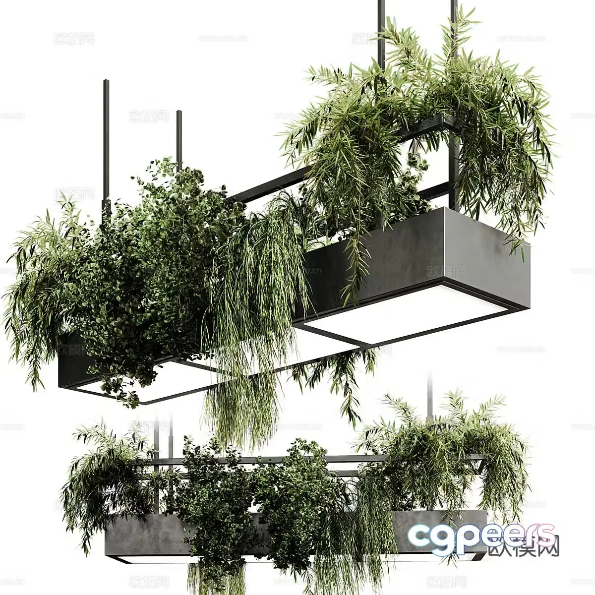 Hanging basket green plants Hanging basket Hotel hanging basket Decorative hanging basket Potted green plants Hanging style Sales office 3D model