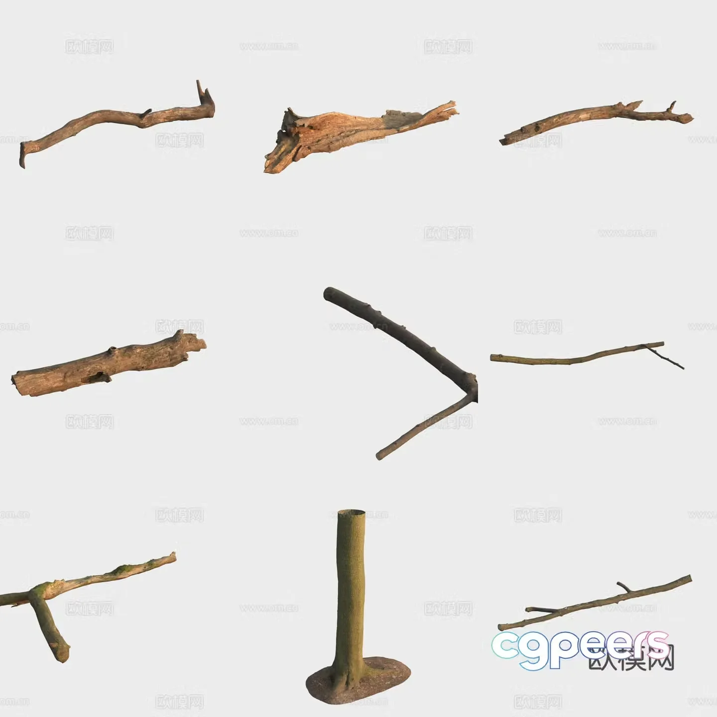 3d model of trunk branches stump