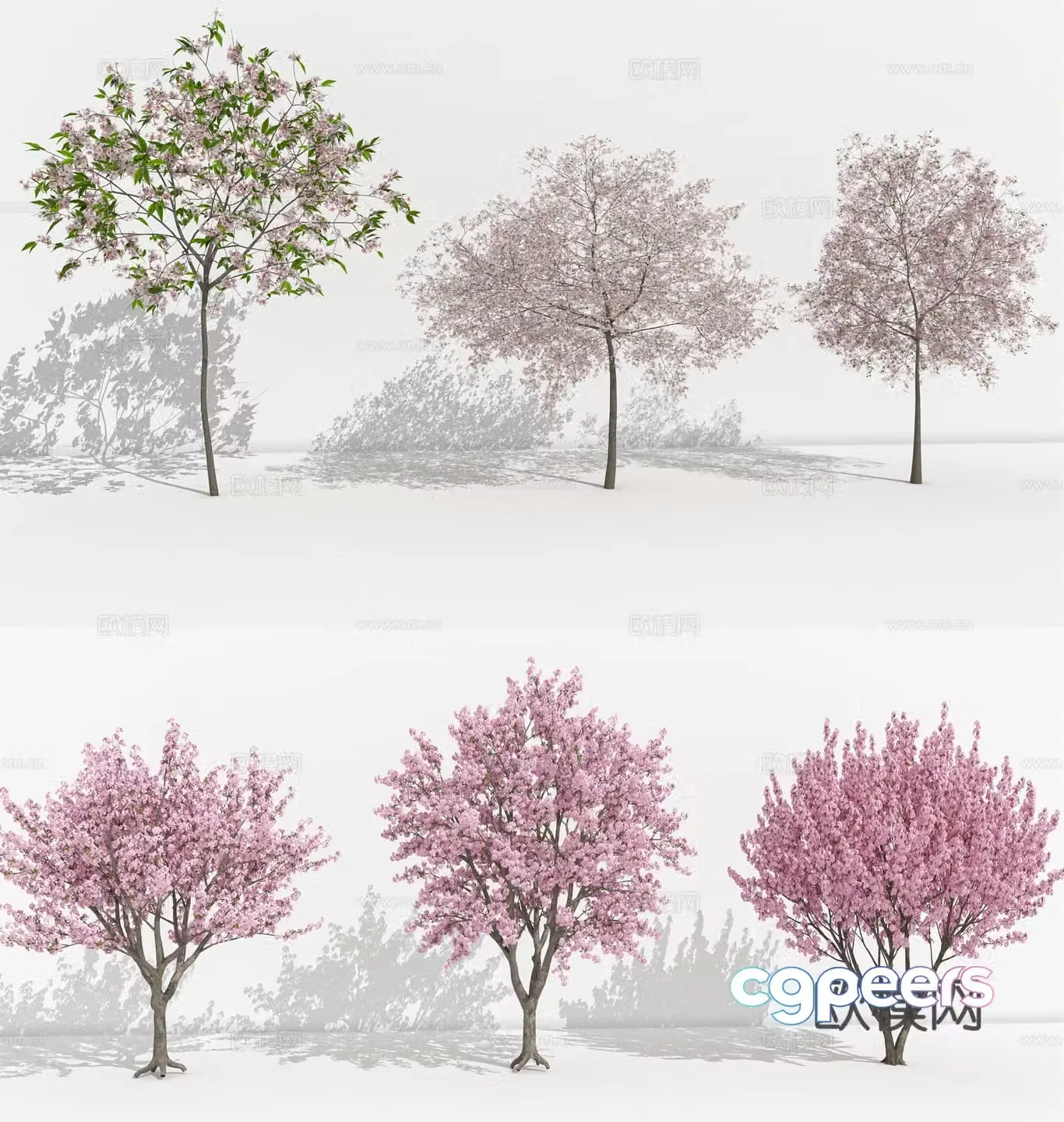 Cherry Blossom Cherry Tree Peach Tree Pink Flower Tree Landscape Tree 3D Model