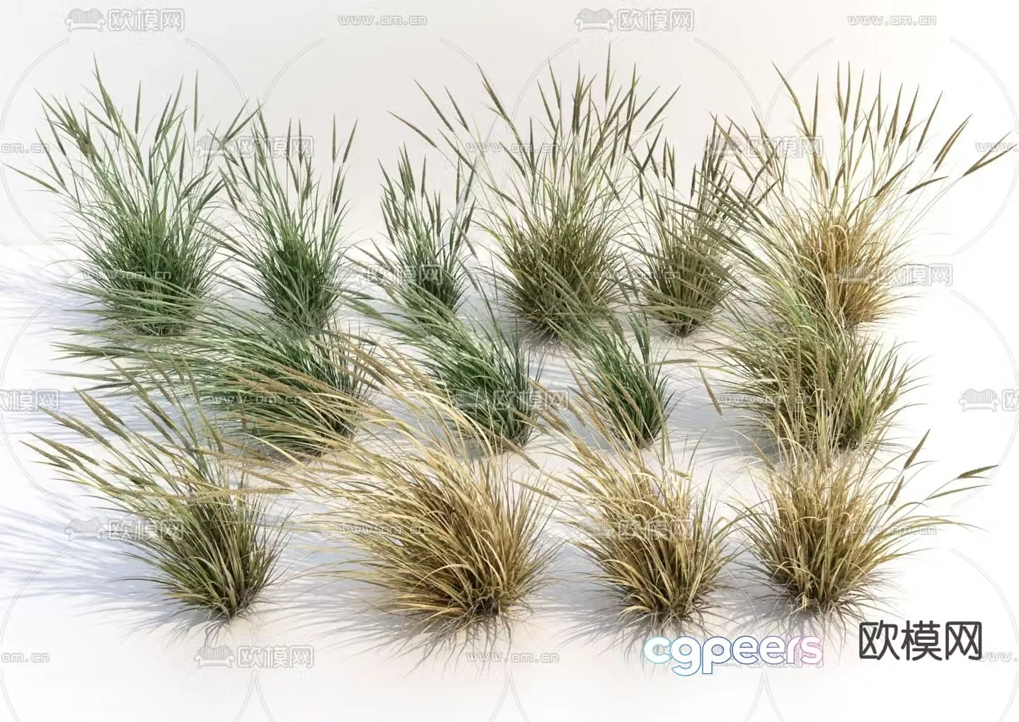 Flowers weeds ice grass 3d model
